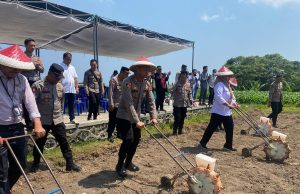 Kapolres Pimpin Penanaman Jagung Serentak di Desa Santong