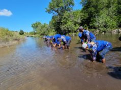 Sahabat Polairud NTB Tanam Mangrove dan Bersih Pantai di Poto Tano